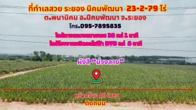 ที่ดิน 2800000 ระยอง กิ่งอำเภอนิคมพัฒนา พนานิคม