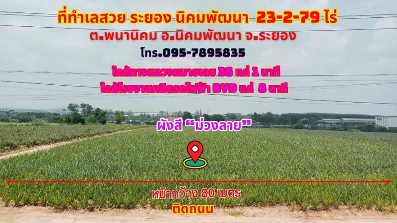 ที่ดิน 2800000 ระยอง กิ่งอำเภอนิคมพัฒนา พนานิคม