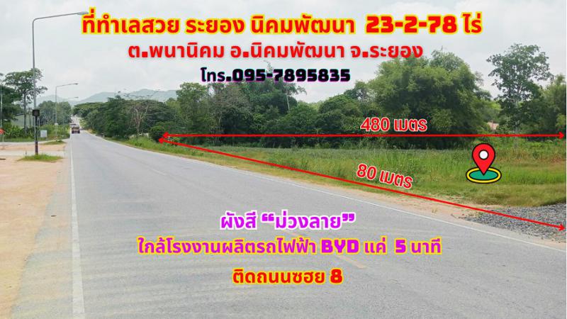 ที่ดิน 2800000 ระยอง กิ่งอำเภอนิคมพัฒนา พนานิคม