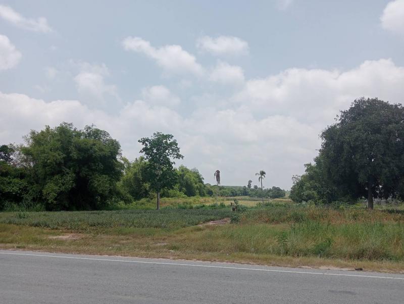 ที่ดิน 2800000 ระยอง กิ่งอำเภอนิคมพัฒนา พนานิคม