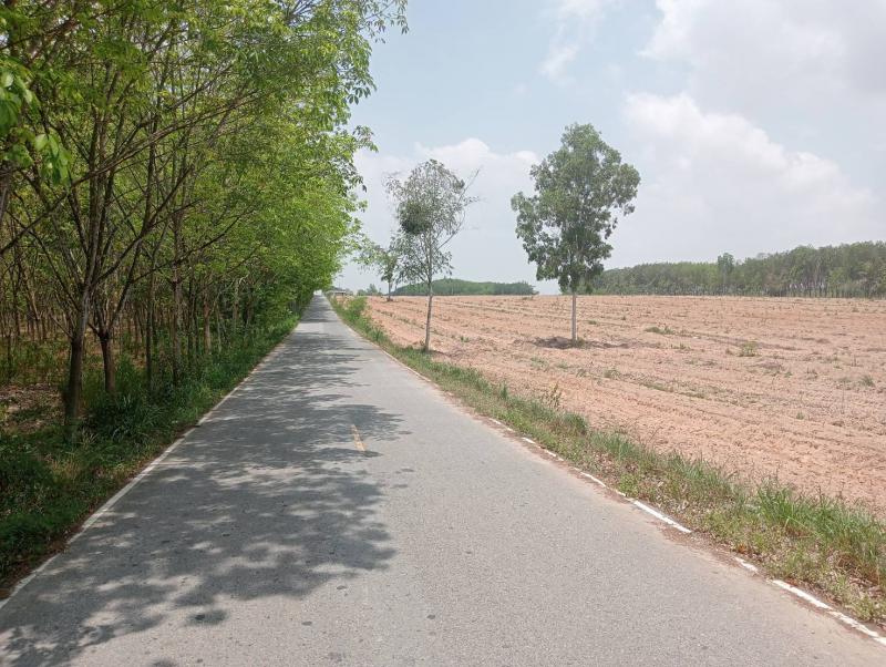 ที่ดิน 2500000 ระยอง กิ่งอำเภอนิคมพัฒนา พนานิคม