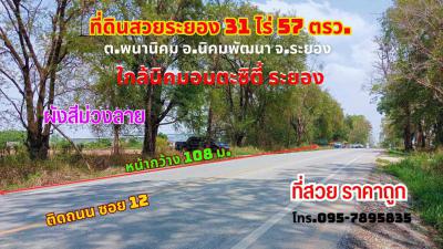 ที่ดิน 2800000 ระยอง กิ่งอำเภอนิคมพัฒนา พนานิคม