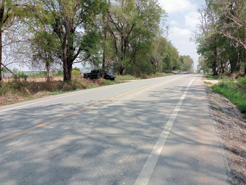 ที่ดิน 2800000 ระยอง กิ่งอำเภอนิคมพัฒนา พนานิคม