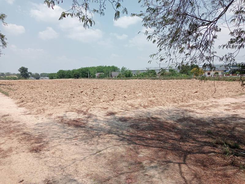 ที่ดิน 2800000 ระยอง กิ่งอำเภอนิคมพัฒนา พนานิคม