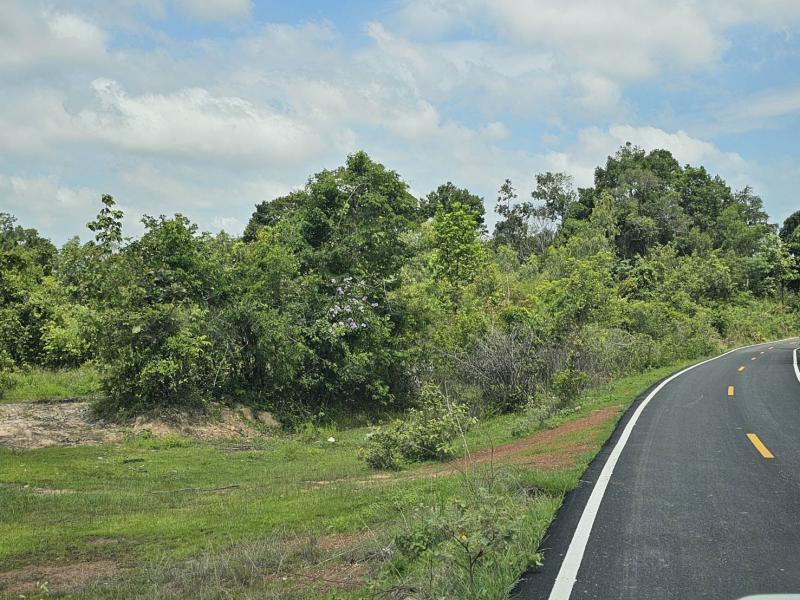 ที่ดิน 550000 อุบลราชธานี ศรีเมืองใหม่ นาคำ