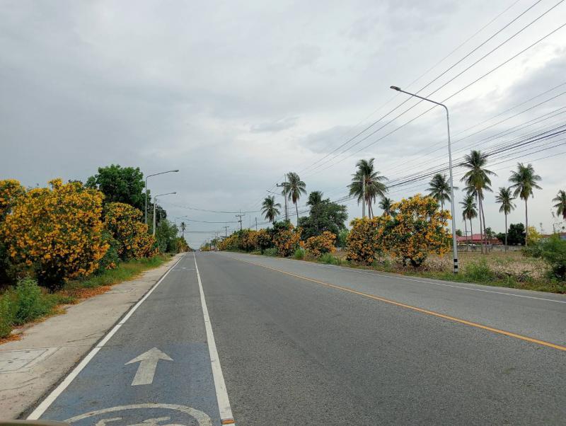 ที่ดิน 5500000 ระยอง บ้านฉาง พลา