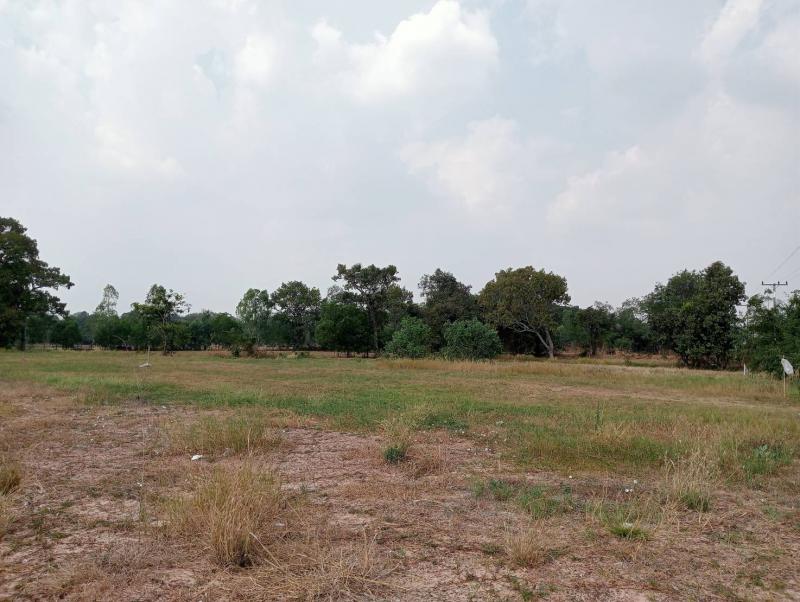 ที่ดิน 1500000 บุรีรัมย์ พุทไธสง บ้านแวง