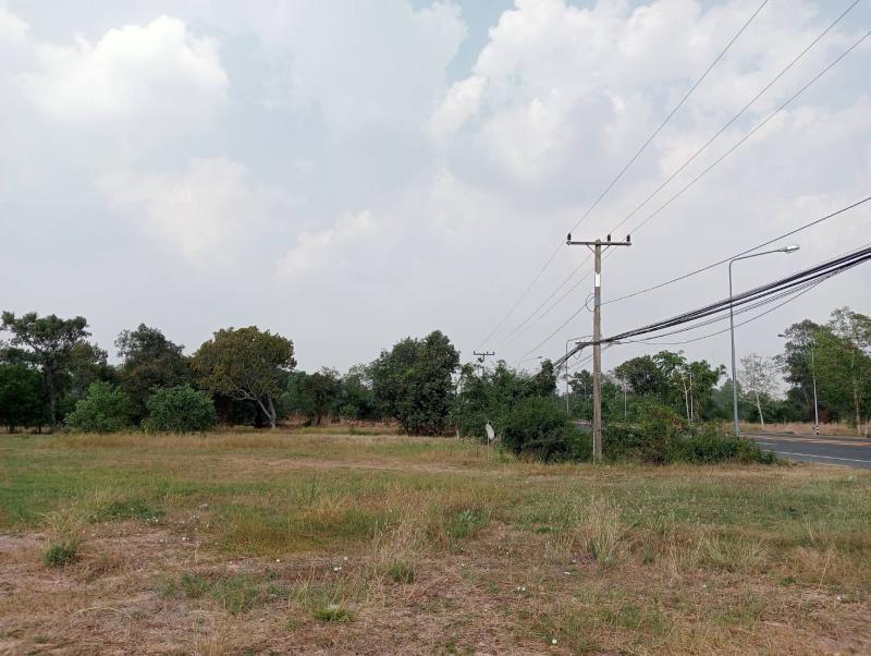 ที่ดิน 1500000 บุรีรัมย์ พุทไธสง บ้านแวง