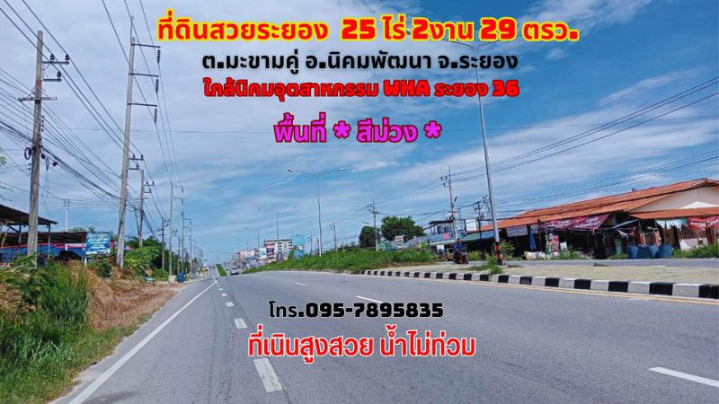 ที่ดิน 6000000 ระยอง กิ่งอำเภอนิคมพัฒนา มะขามคู่