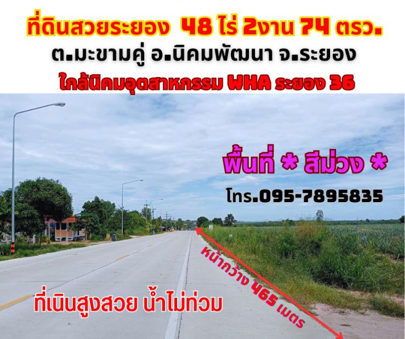 ที่ดิน 4500000 ระยอง กิ่งอำเภอนิคมพัฒนา มะขามคู่