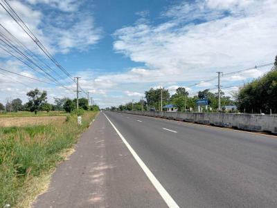 ที่ดิน 1450000 บุรีรัมย์ ลำปลายมาศ หนองคู