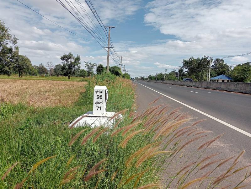 ที่ดิน 1450000 บุรีรัมย์ ลำปลายมาศ หนองคู