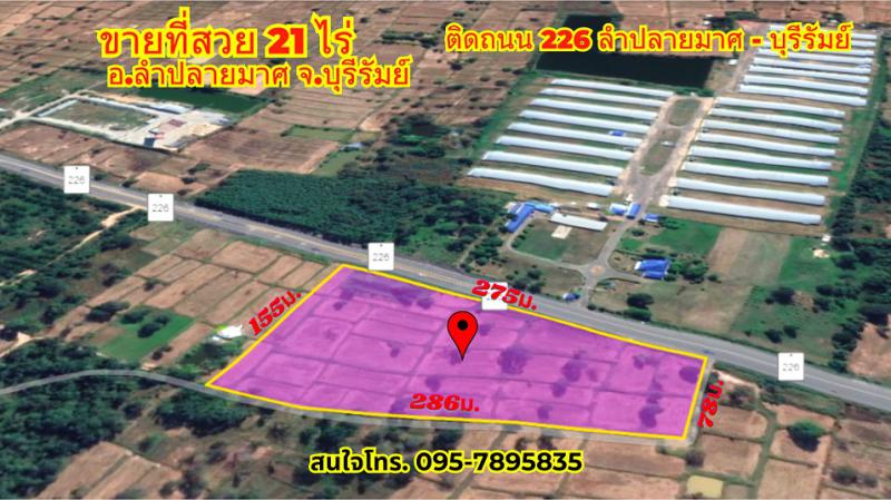 ที่ดิน 1450000 บุรีรัมย์ ลำปลายมาศ หนองคู
