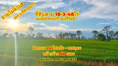 ที่ดิน 950000 บุรีรัมย์ หนองกี่ ทุ่งกระเต็น