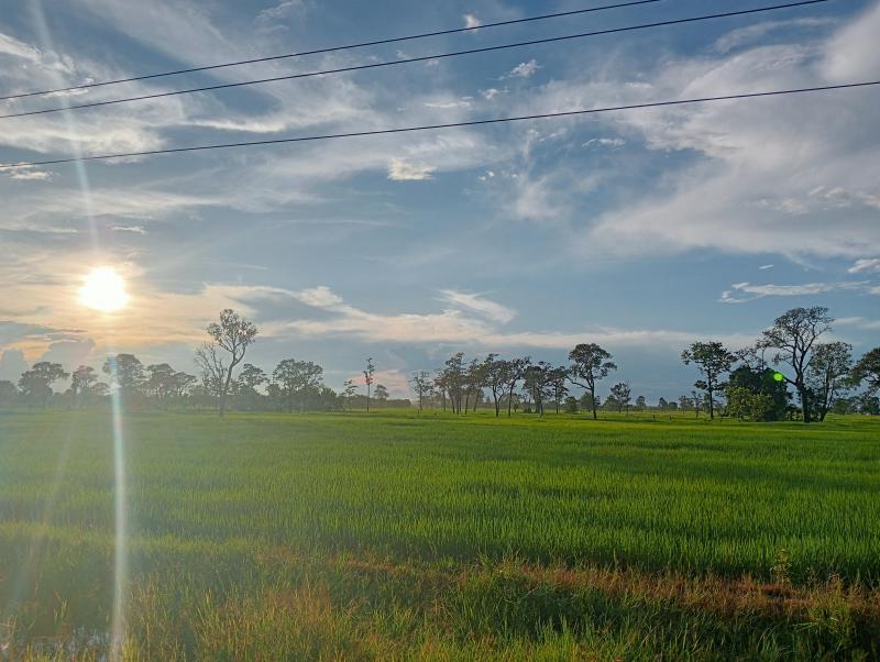 ที่ดิน 950000 บุรีรัมย์ หนองกี่ ทุ่งกระเต็น
