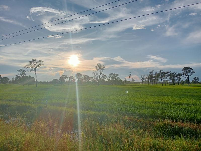 ที่ดิน 950000 บุรีรัมย์ หนองกี่ ทุ่งกระเต็น