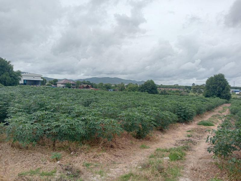 ที่ดิน 5500000 ระยอง เมืองระยอง ห้วยโป่ง