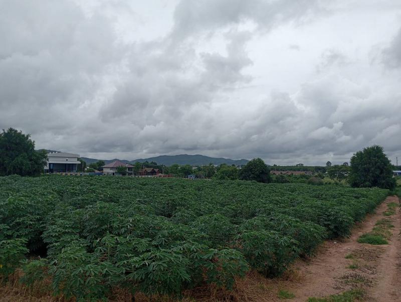 ที่ดิน 5500000 ระยอง เมืองระยอง ห้วยโป่ง