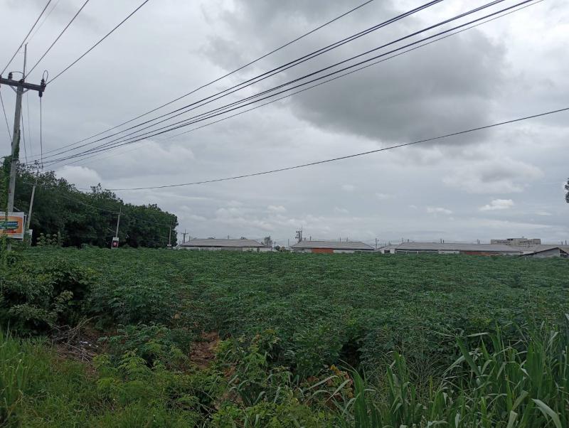 ที่ดิน 2800000 ระยอง ปลวกแดง ปลวกแดง