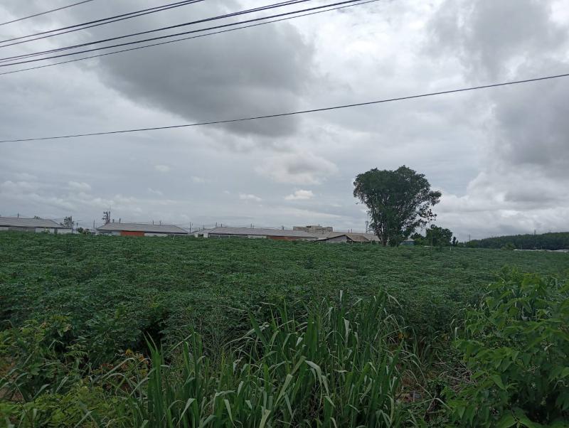 ที่ดิน 2800000 ระยอง ปลวกแดง ปลวกแดง