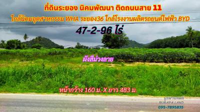 ที่ดิน 2500000 ระยอง กิ่งอำเภอนิคมพัฒนา พนานิคม