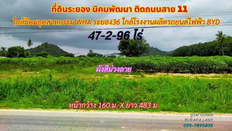 ที่ดิน 2500000 ระยอง กิ่งอำเภอนิคมพัฒนา พนานิคม