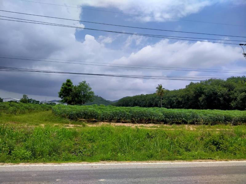 ที่ดิน 2500000 ระยอง กิ่งอำเภอนิคมพัฒนา พนานิคม