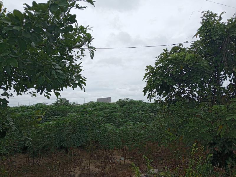 ที่ดิน 6500000 ระยอง เมืองระยอง ห้วยโป่ง