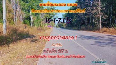 ที่ดิน 5000000 ระยอง แกลง ชากพง