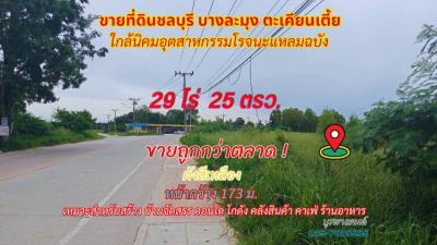 ที่ดิน 5000000 ชลบุรี บางละมุง ตะเคียนเตี้ย