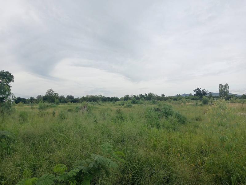 ที่ดิน 5000000 ชลบุรี บางละมุง ตะเคียนเตี้ย