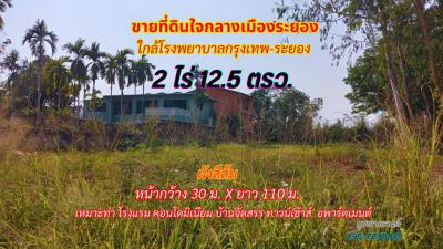 ที่ดิน 8000000 ระยอง เมืองระยอง เนินพระ