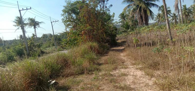 ที่ดิน 4500000 ชลบุรี บางละมุง เขาไม้แก้ว