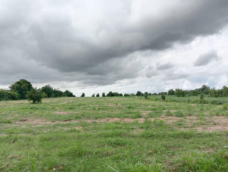 ที่ดิน 8000000 ระยอง เมืองระยอง ห้วยโป่ง