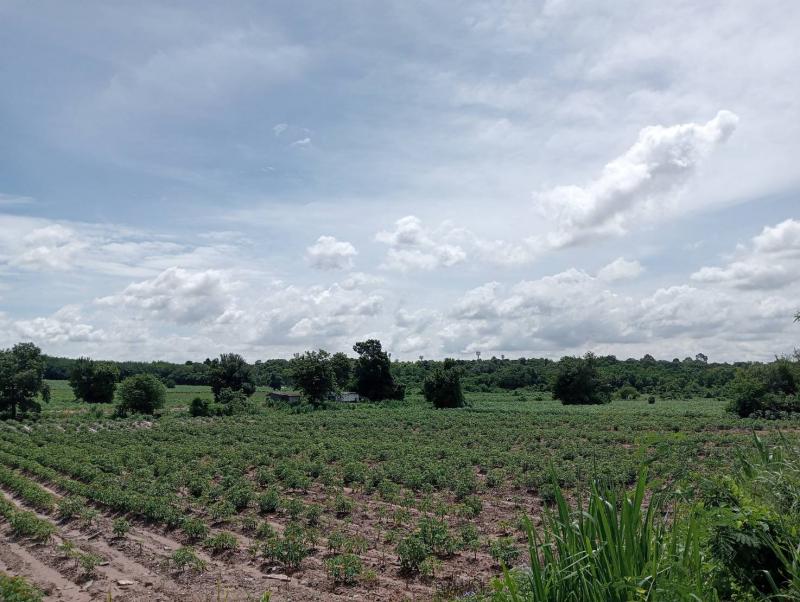 ที่ดิน 3500000 ระยอง เมืองระยอง ห้วยโป่ง